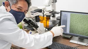 Registro para la vacuna covid en méxico: Espol Ecuador Ya Cuenta Con Un Prototipo De Vacuna Contra El Covid 19 Disenado En La Espol