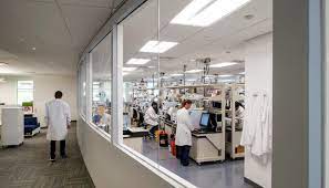 We are looking for talented people who share our passion for bringing hope and possibilities to patients. Insmed Incorporated V J Scozzari Sons Inc