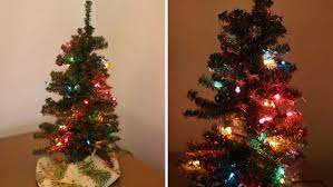 Lighting Up Tiny Trees Tiny Christmas Trees Tree Christmas Lights