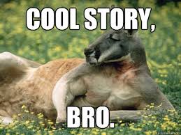 Funny Kangaroo Meme Cool Story Bro Picture