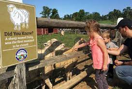 Read on for more than a dozen of our favorite nj petting fosterfields living historical farm functions exactly as it did at the turn of the 20th century. Cream Of The Crop 10 Best Farms For Family Fun And Entertainment In Nj Mommypoppins Things To Do In New Jersey With Kids