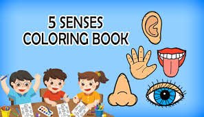 Kindergarten worksheets kindergarten worksheets the 5 senses. Five Senses Coloring Books Worksheets Pdf