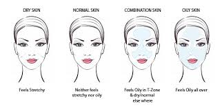 Image result for types of skin chart