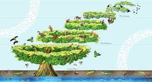 We are a group of environmentalists that have a mission to make the world a better place. Home The Green Planet Dubai