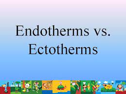 If an organism instead relies on external environmental factors to regulate its body temperature. Adaptations How Do Adaptations Help Animals Survive In