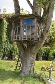 Treehouse Tree House With Table And Chairs In An Old Tree Of An Austrian Hotel Affiliate House Table Treehouse Tree Tree House Treehouse Tree House