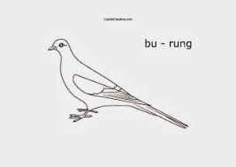 Ada burung yang bulunya seperti mahkota. Mewarnai Gambar Burung Merpati Untuk Tk Balita Gambar Burung Burung Warna