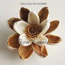 .wholesale supplier from kolkata, india, we supply to sola wood flower usa canada europe and all over the world main sola wood flower are sola dahlia, sola kadam, sola camelia etc. Sola Wood Flowers I Sola Flowers I Manufacturer I Wholesaler I Exporters