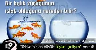 Bir Balik Vucudunun Islak Oldugunu Nereden Bilir Yasam Tarzi Kesif Duygular