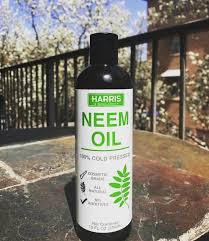 6 benefits of neem oil for hair and scalp with its ability to fight bacteria, fungus, irritation and itching, neem oil is a great remedy for many scalp conditions. Benefits Of Neem Oil For Hair Growth Sensod