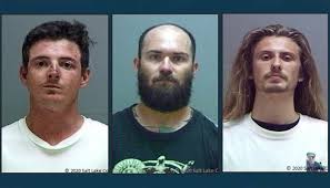 Salt Lake County Da S Office Files Charges Against 3 In Cottonwood Heights Protest Gephardt Daily