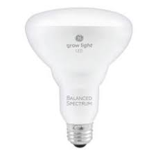 Leave the lights on about 14 to 16 hours per day for best results. Plant Grow Lights How To Choose The Best Indoor Lighting For Plants Hgtv