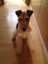 hand over the sausage now
