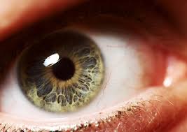 Close Up Eye Photos Beautiful