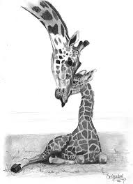 Mother Giraffe And The Baby By Eduardo Crowder In 2021 Giraffe Drawing Baby Animal Drawings Giraffe Art