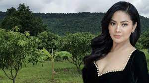 คอร์ดเพลง ดึงดัน cocktail x ตั๊ก ศิริพร | ดึงดัน คอร์ด ง่ายๆ โอ้ ใจเอ๋ยทำไมหัวใจไม่หลาบจำ ดึงดันจะรักเธออยู่ ทั้งที่รู้ว่าเขาไม่ใช่ 3spg3wx No6njm
