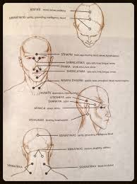 the 108 marmas vital junction points