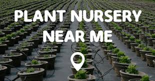 Shop for garden nursery near me online at target. Plant Nursery Near Me Points Near Me