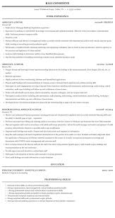 associate, auditor resume sample