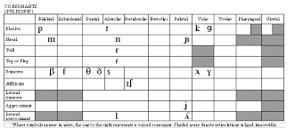 46 meticulous ipa chart for spanish