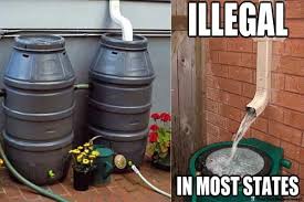 Collecting Rainwater Now Illegal In Many States The Fact That Individuals Don T Have Access To Th Rain Water Collection Rain Water Collection System Rainwater