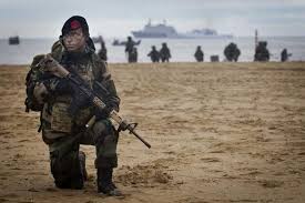 Image result for bravenes dutch marines