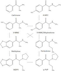 Increased energy/alertness, decreased need for sleep, increased sociability, mood lift, increase sexuality. Frontiers Hazard Characterization Of Synthetic Cathinones Using Viability Monoamine Reuptake And Neuronal Activity Assays Neuroscience