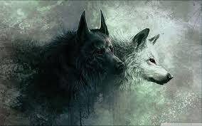 Posted by admin on march 17, 2018 if you don't find the exact resolution. Wolf Desktop Wallpapers Wallpaper Cave