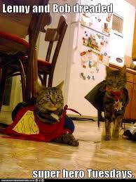 Cats in clothes 24965 gifs. Lolcats Clothes Lol At Funny Cat Memes Funny Cat Pictures With Words On Them Lol Cat Memes Funny Cats Funny Cat Pictures With Words On