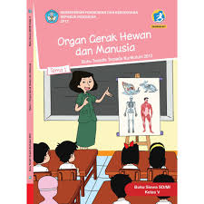 We did not find results for: Buku Tematik Kelas 5 Tema 1 Organ Gerak Hewan Dan Manusia K13 Revisi Shopee Indonesia