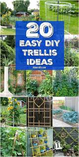 20 Easy Diy Trellis Ideas To Add Charm And Functionality To Your Garden Diy Trellis Diy Garden Trellis Diy Garden Projects