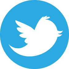 You can use these free icons and png images for your photoshop design, documents, web sites, art projects or google. File Twitter Png Rage Multiplayer Wiki