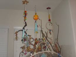 Diy Hanging Bird Playground Petdiys Com Diy Hanging Bird Hanging