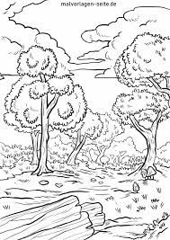 Check spelling or type a new query. Tolle Malvorlage Wald Kostenlose Ausmalbilder