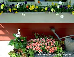 Best flowers for window boxes spring and summer. How To Plant A Window Box Garden Tutorial Planting Tips An Extraordinary Day