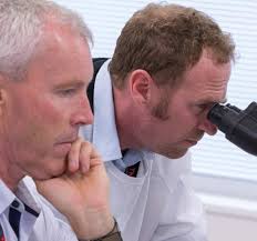 Title pages annual report