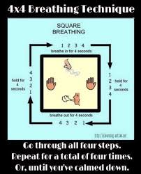 Pin On An Apple A Day