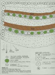 Orchard Management Permaculture Permaculture Gardening Permaculture Design