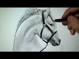 Comment Dessiner Une Tete De Cheval Tutoriel Youtube Dessin Cheval Facile Comment Dessiner Un Cheval Dessin Cheval