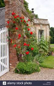 Klettergerüste zum klettern, turnen und spielen. Klettern Im Garten Am Schloss Miromesnil In Normandie Frankreich Eu Stieg Stockfotografie Alamy