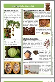 Pin By Craig Aiasss On Pensee Food Vegetables Cacao