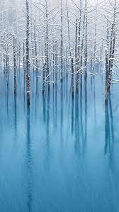 snow pond iphone 5 wallpaper wbix iphone wallpaper winter best iphone wallpapers tree wallpaper iphone