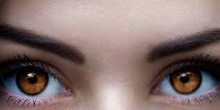 Amber Eyes Science Myths And Personality Traits Of Amber Eyed People Aesthetic Eyes Amber Eyes Color Pretty Eyes Color