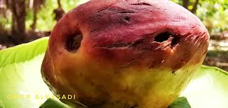 هذه المقالة عن هذه المقالة عن نبات الإهليلج.لتصفح عناوين مشابهة، انظر إهليلج (توضيح). Ø¨ÙŠØ¯Ø§Ù† Hashtag On Twitter