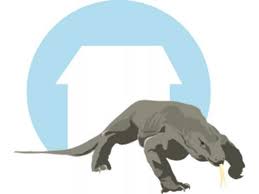 Check spelling or type a new query. Komodo Hewan Rumahan