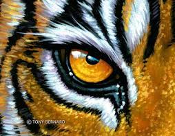 eye of the tiger tiger art tiger painting snake art