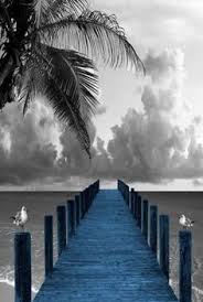 Black And White With Pop Of Color Art Pin By L Bryant On A Color Splash Ocean Black And White Picture Wall Teal Wall Art Black And White Wall Art