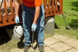 Recent pest control reviews in el paso. Diy Pest Control Can Be Quick Easy Safe And Inexpensive To