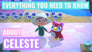 Celeste Seeing A Shooting Star During The Meteor Shower Last Night Is The  Most Precious Thing In The Entire World : R/Animalcrossing