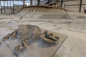 Ashfall fossil beds is a national natural landmark with. Nebraska S Pompeii Exploring A Prehistoric Graveyard At Ashfall Fossil Beds State Historical Park Roadtrippers